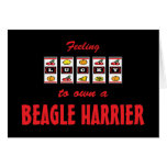 Lucky to Own a Beagle Harrier Fun Dog Design Card