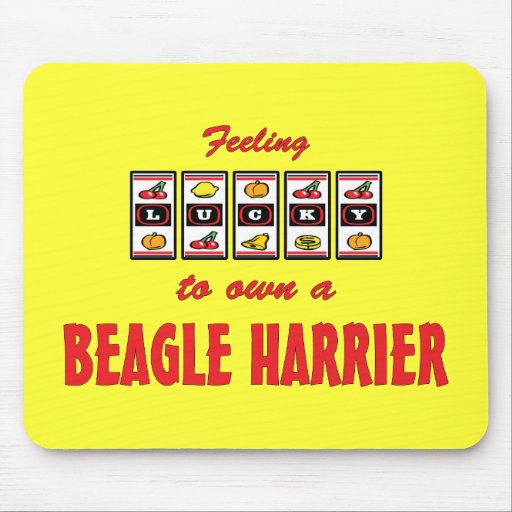 Lucky to Own a Beagle Harrier Fun Dog Design Mousepads