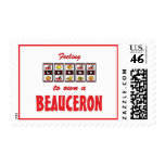 Lucky to Own a Beauceron Fun Dog Design postage