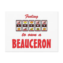 Lucky to Own a Beauceron Fun Dog Design Post Cards