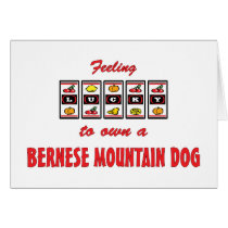 Lucky to Own a Bernese Mountain Dog Fun Dog Design Cards