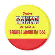 Lucky to Own a Bernese Mountain Dog Fun Dog Design Magnets