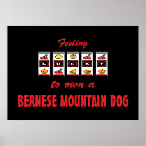 Lucky to Own a Bernese Mountain Dog Fun Dog Design Posters