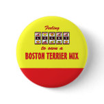 Lucky to Own a Boston Terrier Mix Fun Dog Design Pinback Button