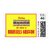 Lucky to Own a Brussels Griffon Fun Dog Design Postage Stamp