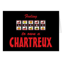 Lucky to Own a Chartreux Fun Cat Design Greeting Cards