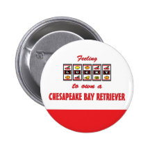 Lucky to Own a Chesapeake Bay Retriever Pinback Buttons
