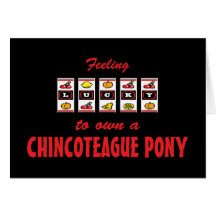 Lucky to Own a Chincoteague Pony Fun Design Cards