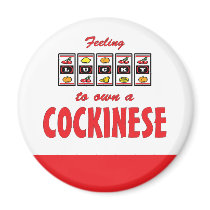 Lucky to Own a Cockinese Fun Dog Design magnets