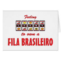 Lucky to Own a Fila Brasileiro Fun Dog Design Card