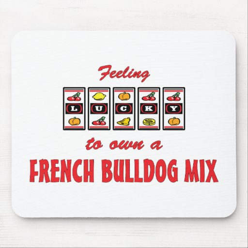 Lucky to Own a French Bulldog Mix Fun Dog Design Mouse Pad