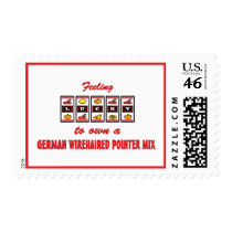 Lucky to Own a German Wirehaired Pointer Mix Postage Stamp