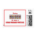 Lucky to Own a German Wirehaired Pointer Mix postage
