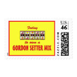 Lucky to Own a Gordon Setter Mix Fun Dog Design postage