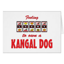 Lucky to Own a Kangal Dog Fun Dog Design Cards
