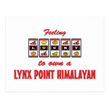 Lucky to Own a Lynx Point Himalayan Fun Cat Design Postcard