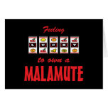Lucky to Own a Malamute Fun Dog Design Cards