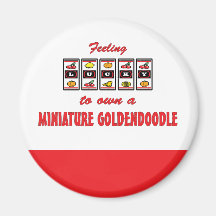 Lucky to Own a Miniature Goldendoodle Fun Design Magnets