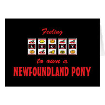 Lucky to Own a Newfoundland Pony Fun Design Card
