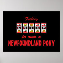 Lucky to Own a Newfoundland Pony Fun Design Posters
