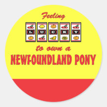 Lucky to Own a Newfoundland Pony Fun Design Sticker