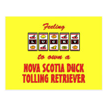 Lucky to Own a Nova Scotia Duck Tolling Retriever Post Cards