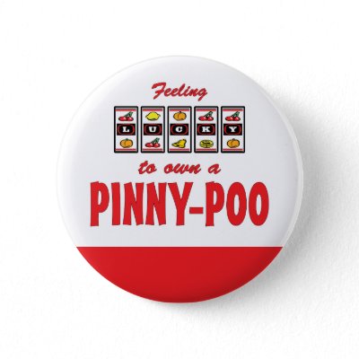 pinny poo pictures