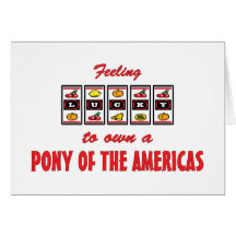 Lucky to Own a Pony of the Americas Fun Design Greeting Card
