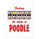 Lucky to Own a Poodle Fun Dog Design Postcard