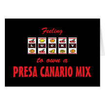 Lucky to Own a Presa Canario Mix Fun Dog Design Card