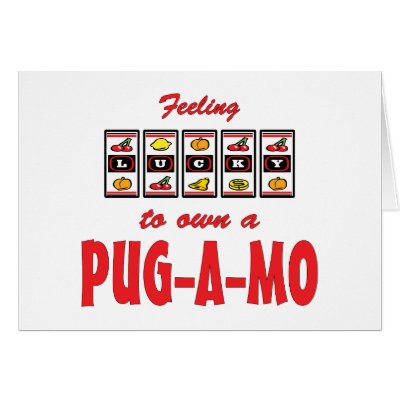 Pug A Mo
