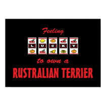 Lucky to Own a Rustralian Terrier Fun Dog Design posters