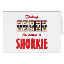 Lucky to Own a Shorkie Fun Dog Design Greeting Cards