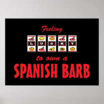Lucky to Own a Spanish Barb Fun Horse Design Print