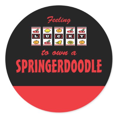 springerdoodle breeders in nj pa