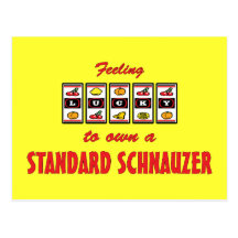 Lucky to Own a Standard Schnauzer Fun Dog Design Postcard