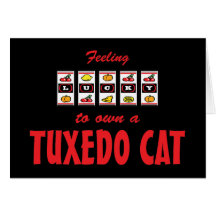 Lucky to Own a Tuxedo Cat Fun Cat Design Greeting Card