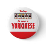 Lucky to Own a Yorkinese Fun Dog Design Button