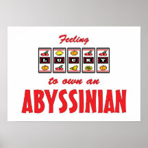 Lucky to Own an Abyssinian Fun Cat Design Print