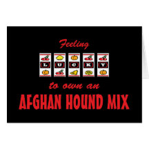 Lucky to Own an Afghan Hound Mix Fun Dog Design Greeting Cards