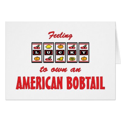 This fun and colorful design is perfect for the proud American Bobtail cat