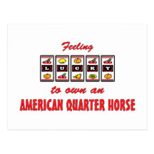 Lucky to Own an American Quarter Horse Fun Design Post Card