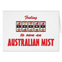 Lucky to Own an Australian Mist Fun Cat Design Cards