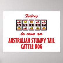 Lucky to Own an Australian Stumpy Tail Cattle Dog Poster