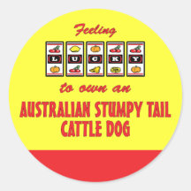 Lucky to Own an Australian Stumpy Tail Cattle Dog Round Sticker