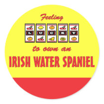 Lucky to Own an Irish Water Spaniel Fun Dog Design stickers