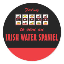 Lucky to Own an Irish Water Spaniel Fun Dog Design stickers