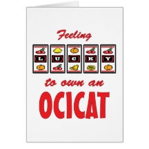 Lucky to Own an Ocicat Fun Cat Design Greeting Card