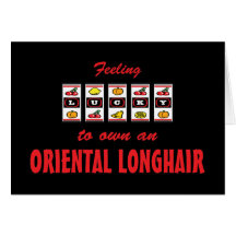 Lucky to Own an Oriental Longhair Fun Cat Design Greeting Card