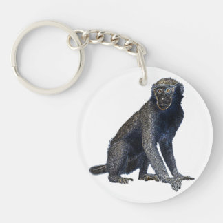 image gallery leo monkey image gallery leo monkey